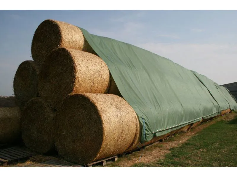 Film Protettivi Per Coperture