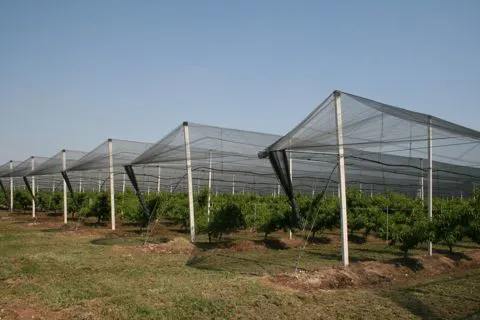 Reti Antigrandine In Monofilo