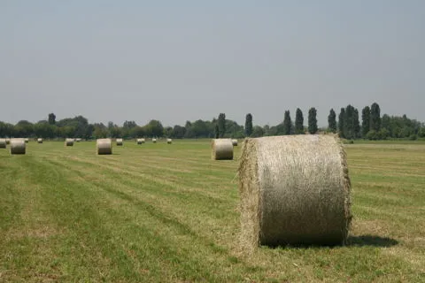 Reti per Rotopressa e Rotoimballatrice - Baler & Net
