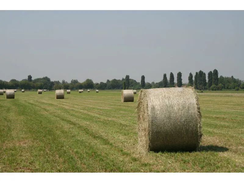 Reti per Rotopressa e Rotoimballatrice - Baler & Net